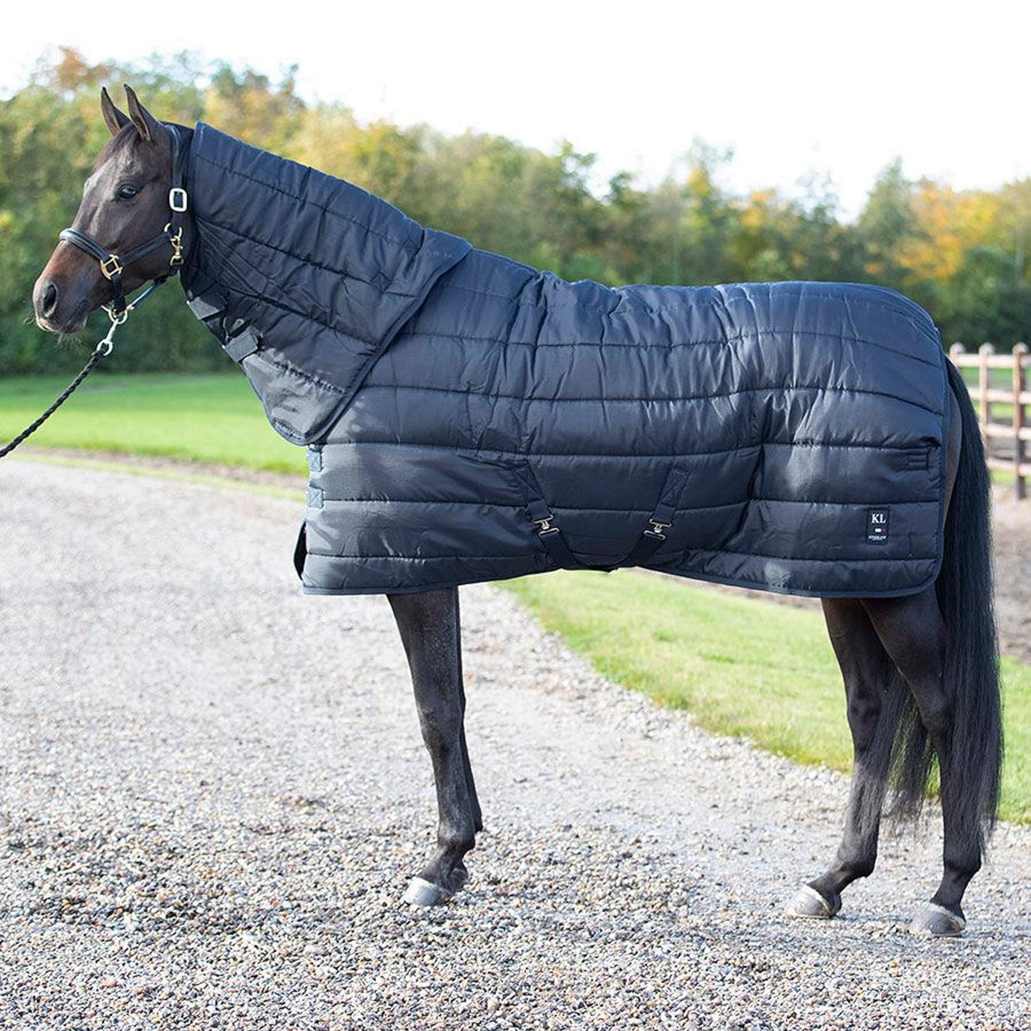 Kingsland Classic Primary Stable Rug w. Neck
